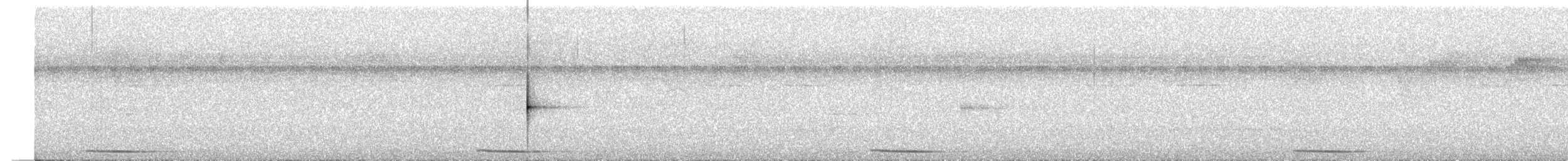 holub panamský - ML254311611
