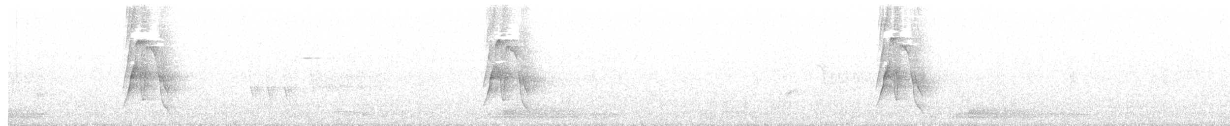 Тиран жовточеревий - ML254312521