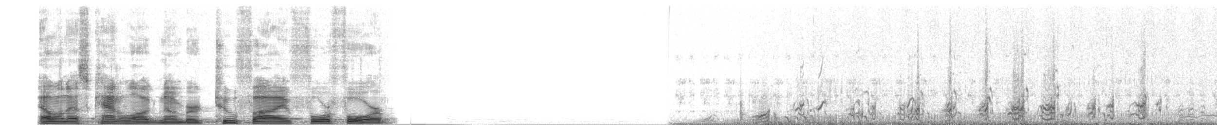 Sharp-tailed Grouse - ML2544