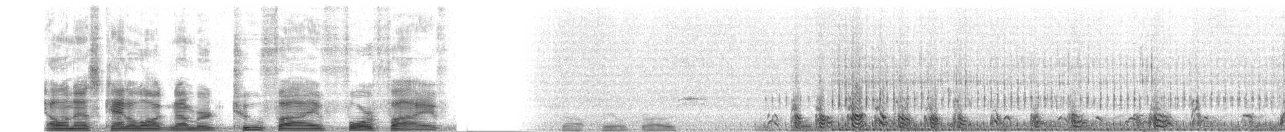 Sharp-tailed Grouse - ML2545