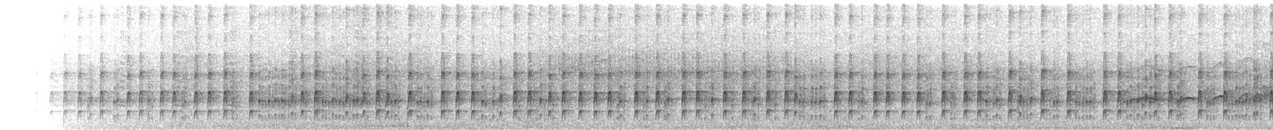 Mégasittine du Brésil - ML254527291