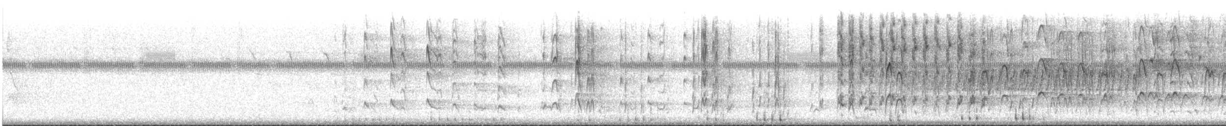 Red-cockaded Woodpecker - ML254546521