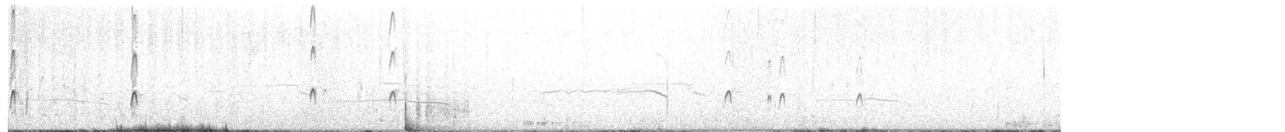 長嘴半蹼鷸 - ML254549241
