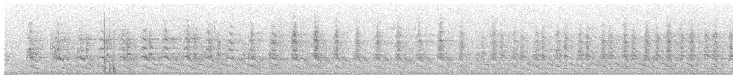 チマンゴカラカラ - ML254588271