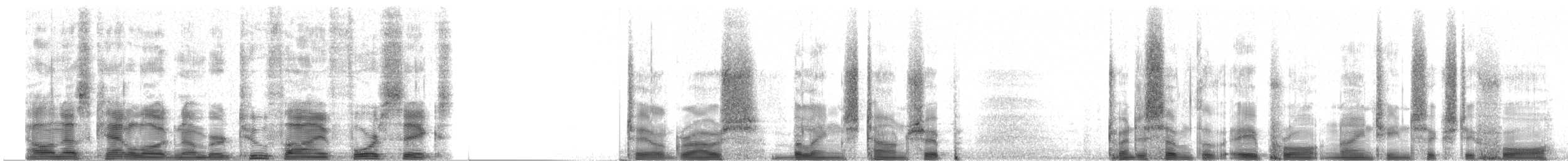 Sharp-tailed Grouse - ML2546