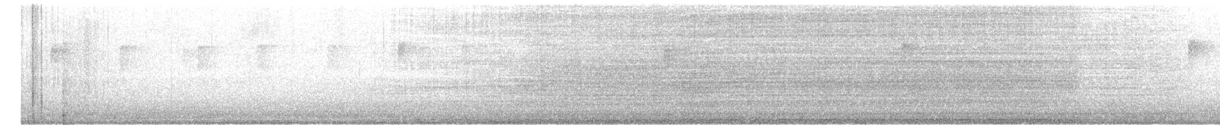 Aura Gallipavo - ML254744411