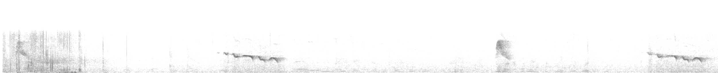 Kara Gagalı Koca Vireo - ML254746211
