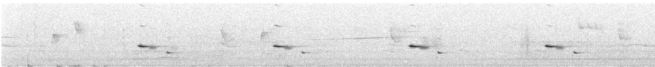 flekkdiamantfugl (punctatus) - ML254843791