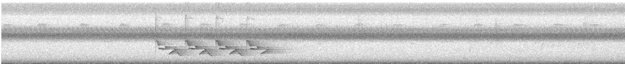 Поплітник каролінський - ML254871511