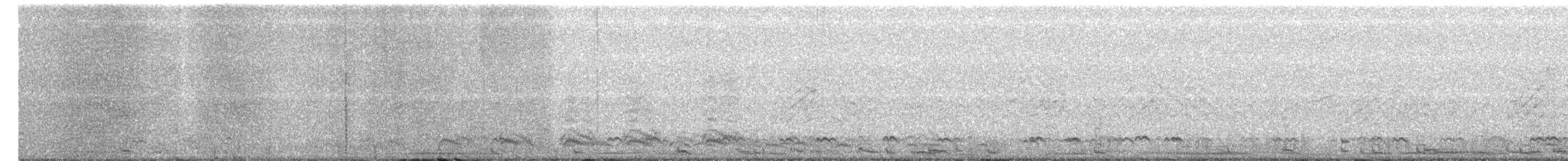 Cisne Chico (neártico) - ML25499951