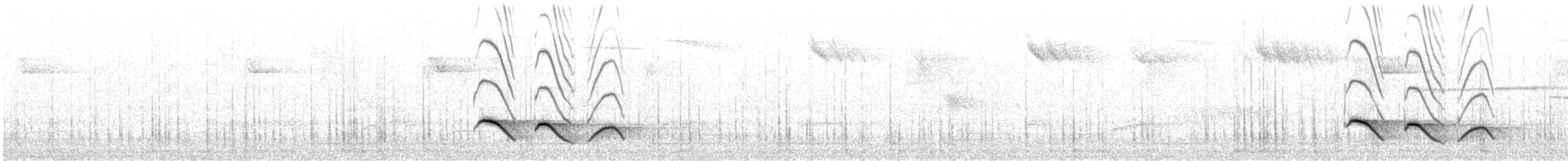 Tasmanya Bülbülü - ML255032671