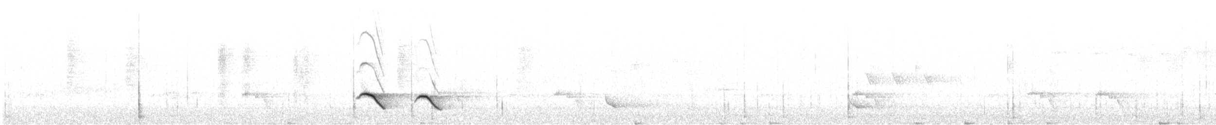 Tasmanya Bülbülü - ML255032711
