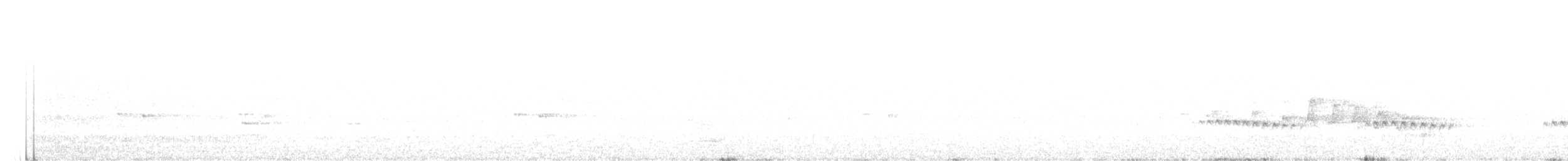 Веерохвостая кукушка - ML255052671