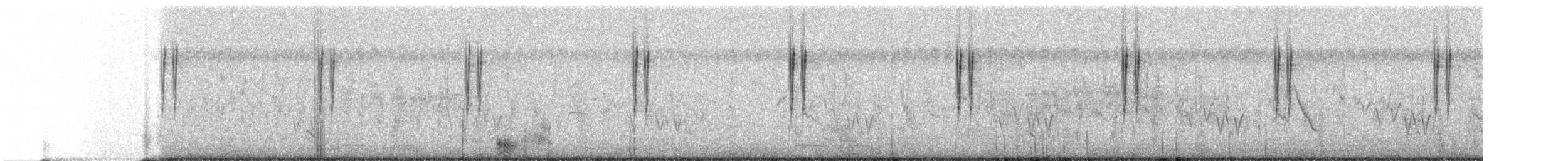 Cisticole des joncs (groupe tinnabulans) - ML255091391