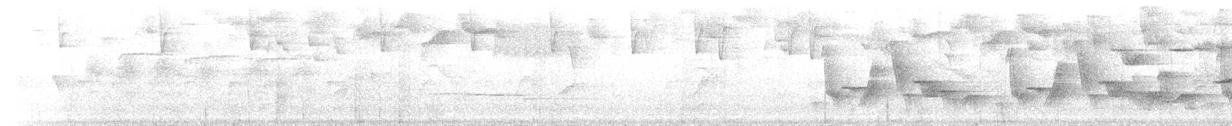 Серогрудый крапивник (leucophrys/boliviana) - ML25510351