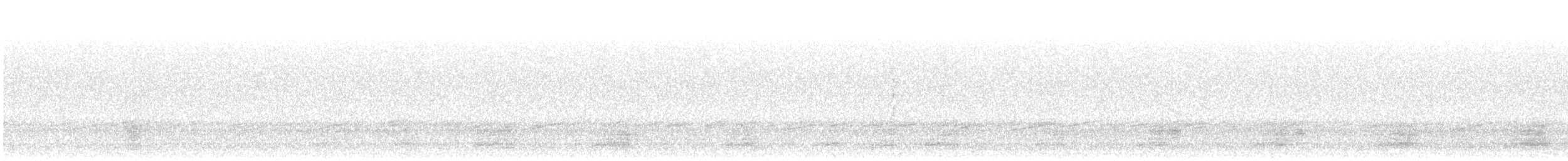 Mallard/American Black Duck - ML25518831