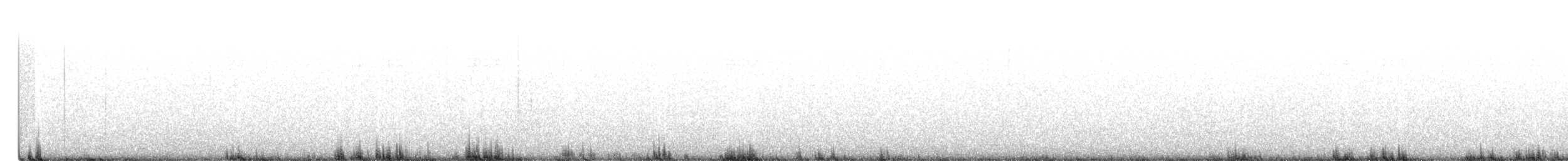 koliha americká - ML255196441