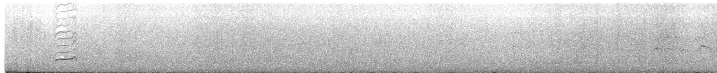 Willet - ML255243641