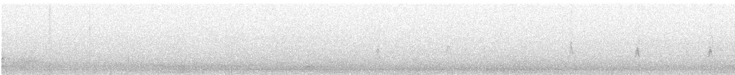גיבתונית רוננת - ML255255081