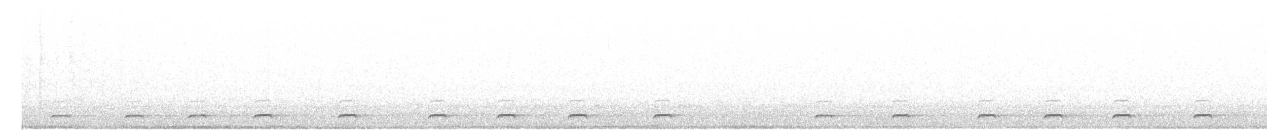 Northern Saw-whet Owl - ML25526591