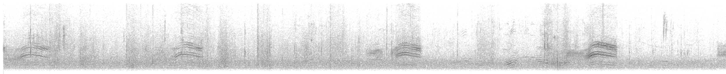 Fleckengrundammer [oregonus-Gruppe] - ML25526601