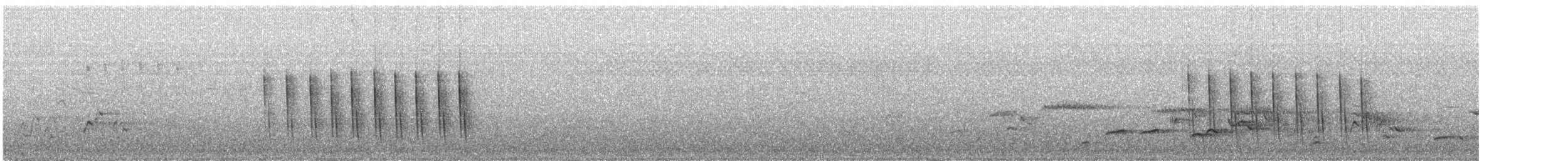 pěnicovec krátkoocasý - ML255266221