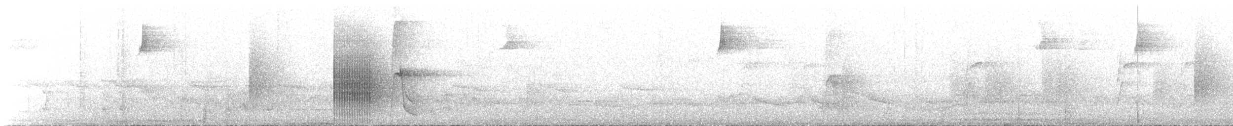 hvitskjeggmanakin - ML255270711