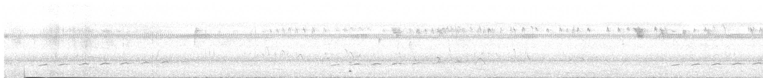 Fork-tailed Drongo-Cuckoo - ML255271231