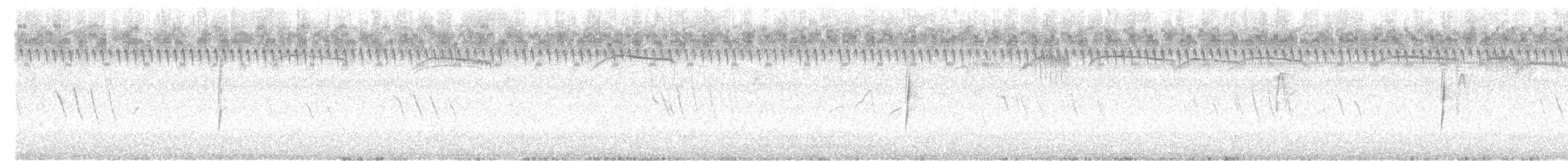 Willow Flycatcher - ML255302401