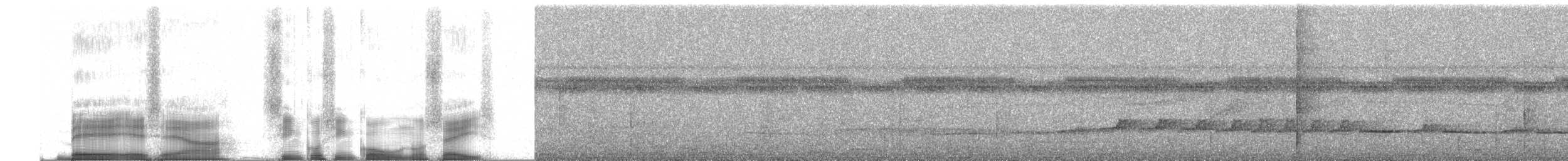 brunbeltedovenfugl - ML255339