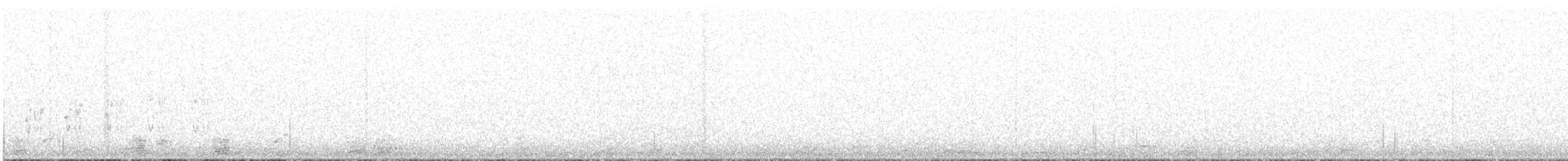 Chevêchette australe - ML255347171