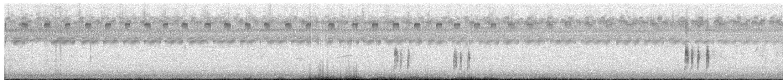 Antillean Nighthawk - ML255350751