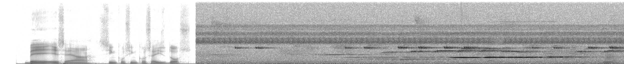 Gray-legged Tinamou - ML255385