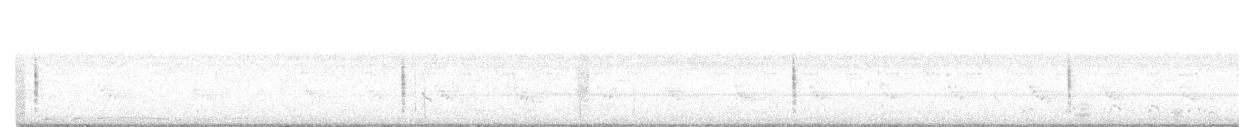 Troglodyte des marais - ML255398501