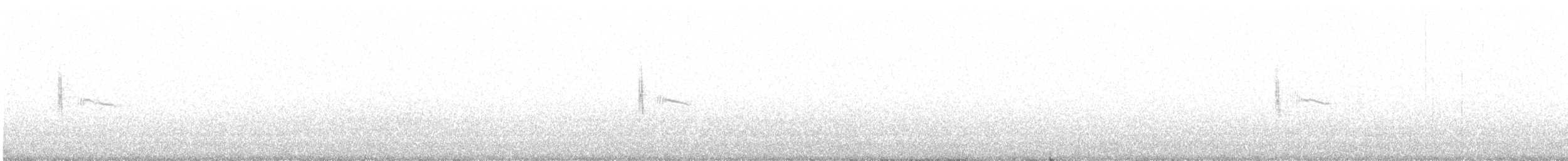 Kaya Çıtkuşu - ML255407001