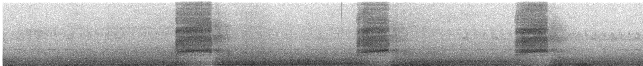 American Barn Owl - ML255424071