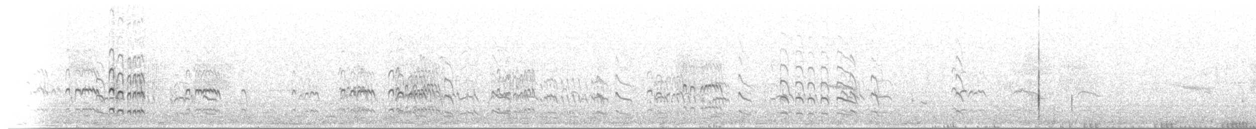 čejka říční - ML255430171