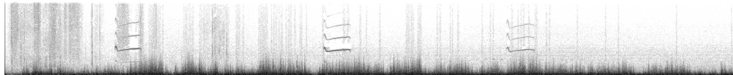 kulík rezavoocasý - ML255487281