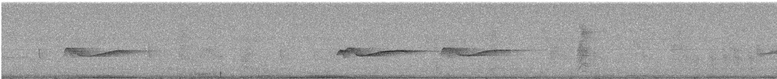Eastern Wood-Pewee - ML255488331