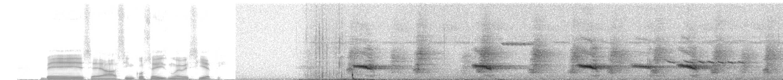 Toucan vitellin (culminatus/pintoi) - ML255520