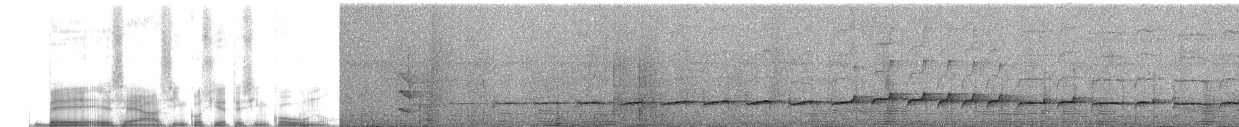 brunbeltedovenfugl - ML255574