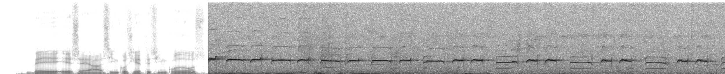 brunbeltedovenfugl - ML255575