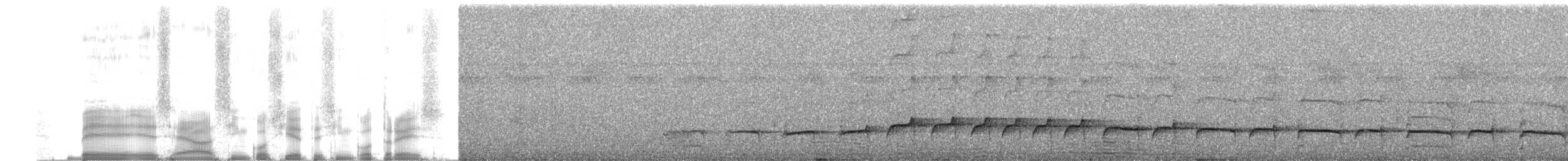 brunbeltedovenfugl - ML255576