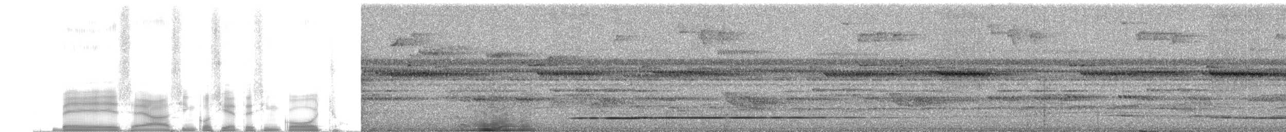 Gray-legged Tinamou - ML255581