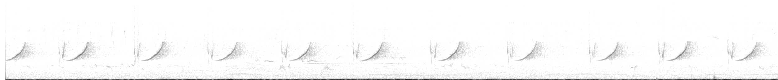 オナガサイホウチョウ - ML255620821