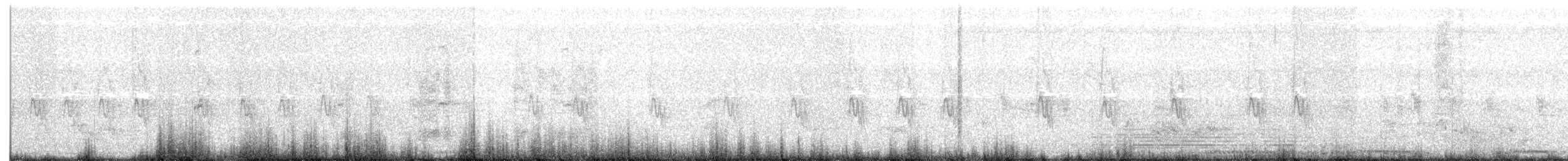 シロタマシャコ - ML255621131