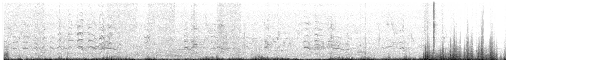 インドトサカゲリ - ML255621831