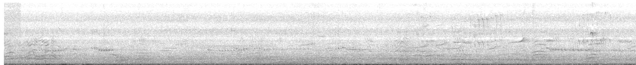 Cratérope affin - ML255621991