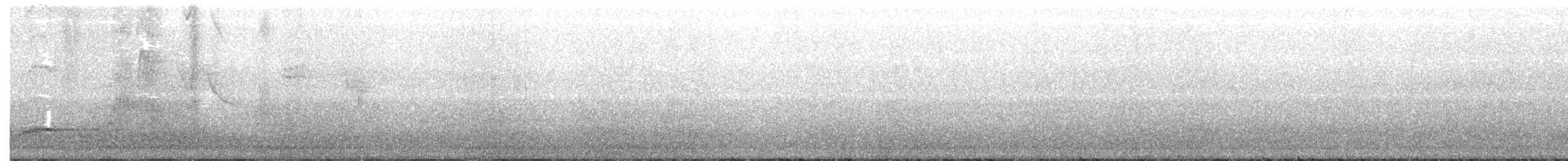 ニシクロウタドリ - ML255622721