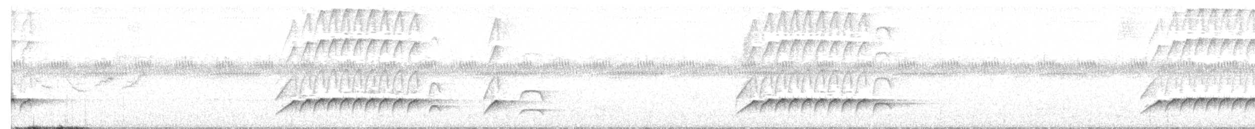 Сероголовый аттила - ML255627041